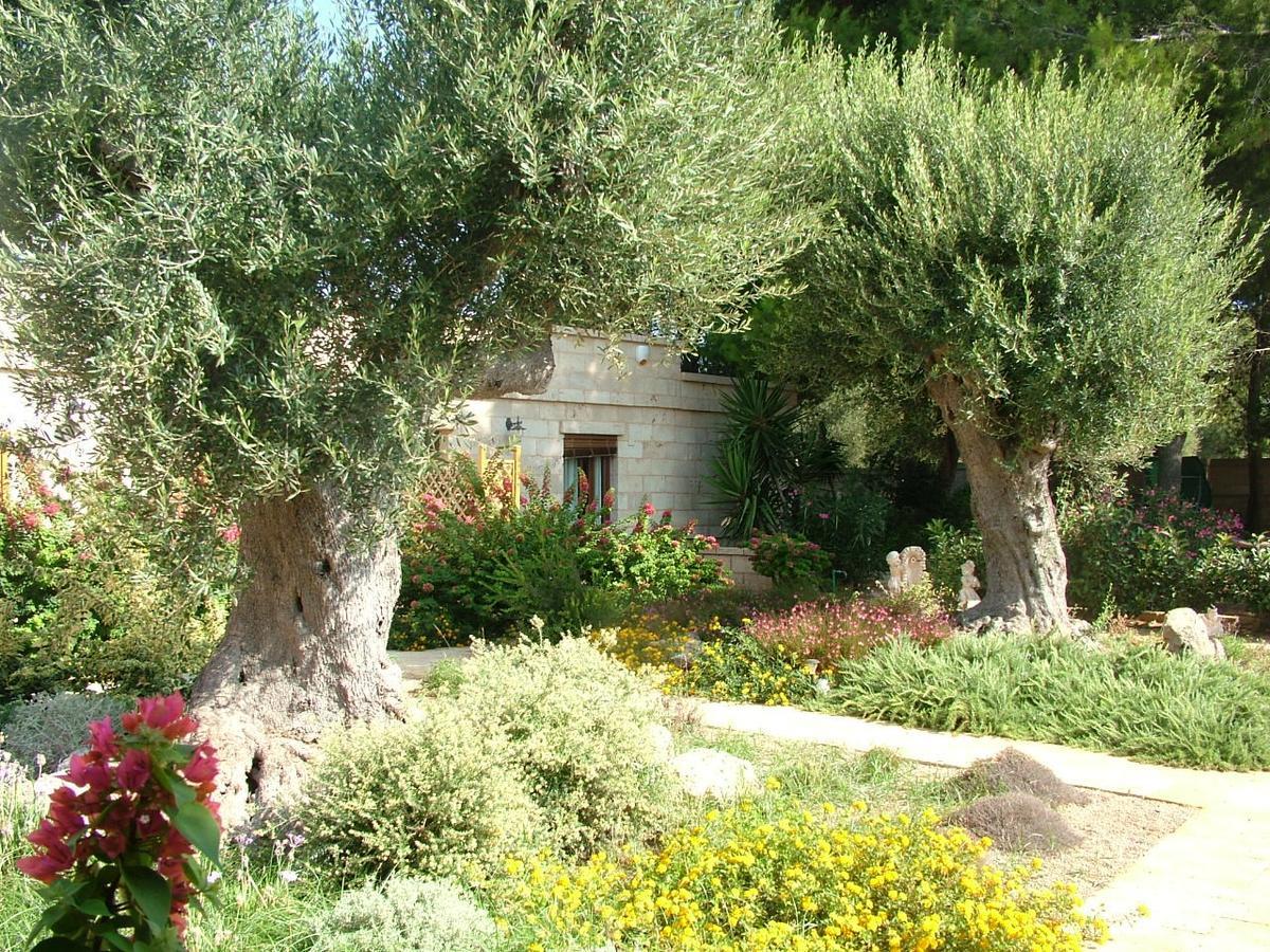 Villa Urania Torre San Giovanni Ugento Εξωτερικό φωτογραφία